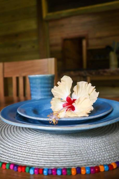 Jungle Beach 2 Bedroom Cottage โบกัสทาวน์ ภายนอก รูปภาพ