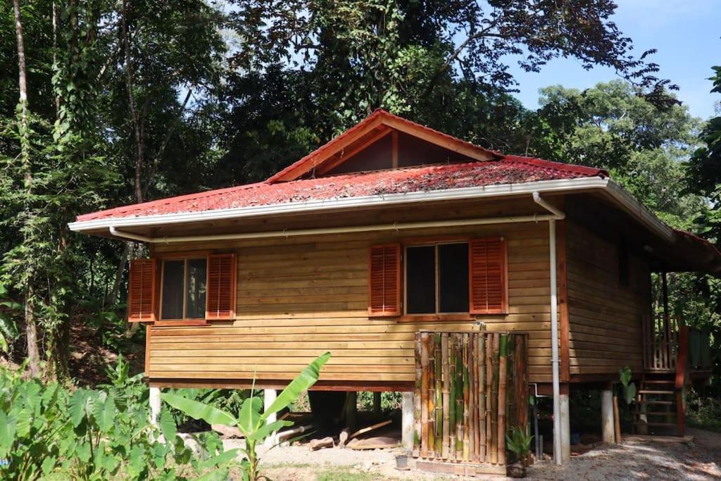 Jungle Beach 2 Bedroom Cottage โบกัสทาวน์ ภายนอก รูปภาพ