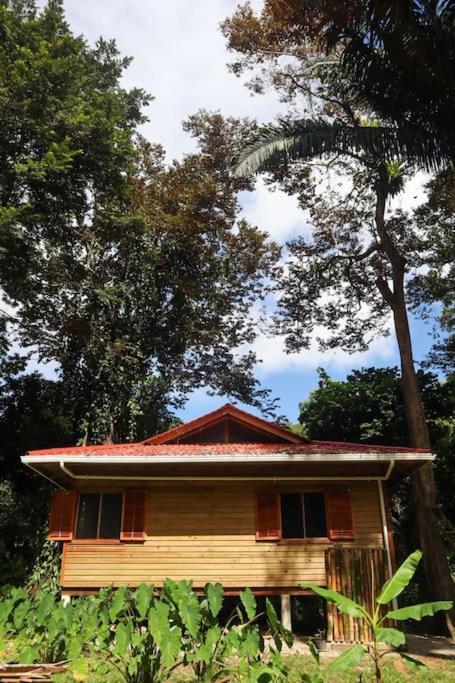 Jungle Beach 2 Bedroom Cottage โบกัสทาวน์ ภายนอก รูปภาพ
