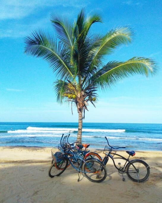 Jungle Beach 2 Bedroom Cottage โบกัสทาวน์ ภายนอก รูปภาพ