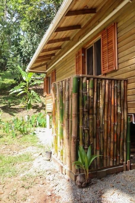 Jungle Beach 2 Bedroom Cottage โบกัสทาวน์ ภายนอก รูปภาพ