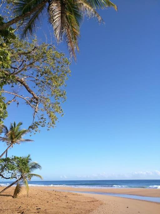 Jungle Beach 2 Bedroom Cottage โบกัสทาวน์ ภายนอก รูปภาพ
